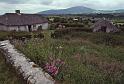 WT 2900 340-16 Ireland